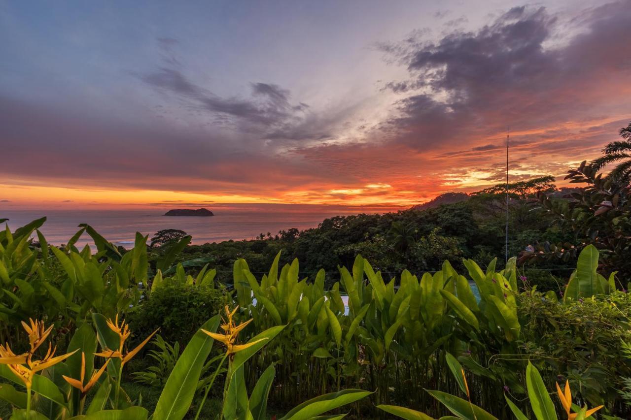 Villas de la Selva Manuel Antonio Exterior foto